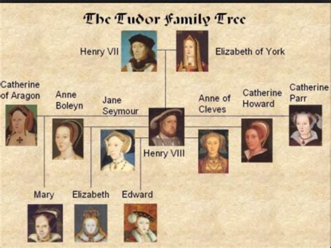 sovrani tudor|who ruled the tudor kingdom.